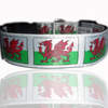 Welsh Dragon Wales Dog Collar A