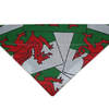 Wales-bandana